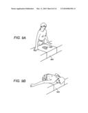 COMPRESSIVE SURFACES FOR ULTRASONIC SCANNING diagram and image