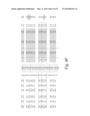 Method and system for measuring lung tissue damage and disease risk diagram and image