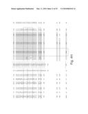 Method and system for measuring lung tissue damage and disease risk diagram and image