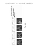 Method and system for measuring lung tissue damage and disease risk diagram and image