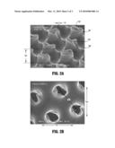 Three-Dimensional Porous Film Contact Layer With Improved Wound Healing diagram and image