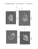 SLURRIES CONTAINING ABRASIVE GRAINS HAVING A UNIQUE MORPHOLOGY diagram and image