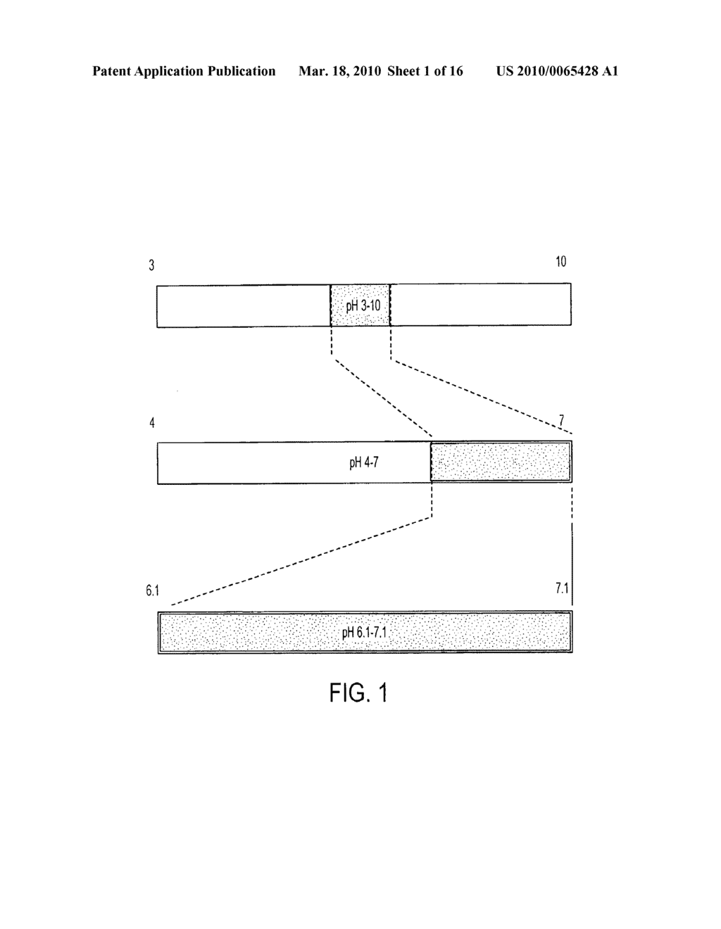 ISOELECTRIC FOCUSING GELS AND METHODS OF USE THEREOF - diagram, schematic, and image 02