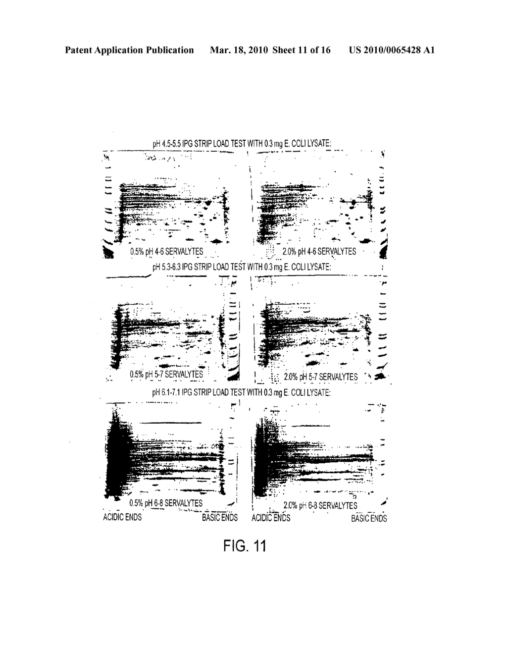 ISOELECTRIC FOCUSING GELS AND METHODS OF USE THEREOF - diagram, schematic, and image 12