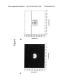 SUBSTRATES AND OPTICAL SYSTEMS AND METHODS OF USE THEREOF diagram and image