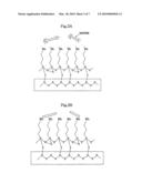 Layers and patterns of nanowire or carbon nanotube using chemical self assembly and fabricating method in liquid crystal display device thereby diagram and image