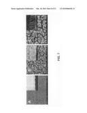 Fabrication of microstructures integrated with nanopillars along with their applications as electrodes in sensors diagram and image