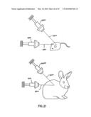 ORTHOVOLTAGE RADIOTHERAPY diagram and image