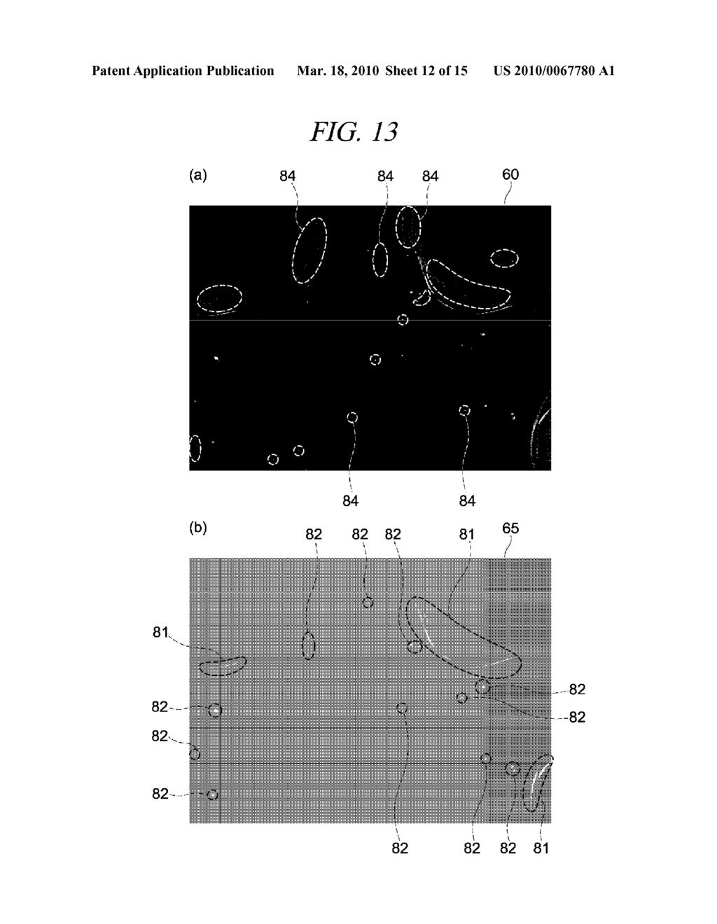 DEFECT DETECTING APPARATUS, DEFECT DETECTING METHOD, INFORMATION PROCESSING APPARATUS, INFORMATION PROCESSING METHOD, AND PROGRAM THEREFOR - diagram, schematic, and image 13