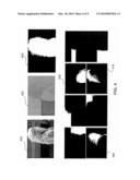 IMAGE DECOMPOSTION diagram and image