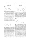 HEPATITIS C VIRUS INHIBITORS diagram and image