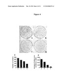 ANTI-CANCER DRUGS AND USES RELATING THERETO FOR METASTATIC MALIGNANT MELANOMA AND OTHER CANCERS diagram and image