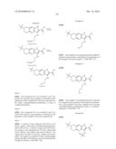 PYRROLO [3, 2-A] PYRIDINE DERIVATIVES FOR INHIBITING KSP KINESIN ACTIVITY diagram and image