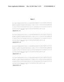 High affinity telomerase t cell receptors diagram and image