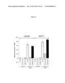 High affinity telomerase t cell receptors diagram and image