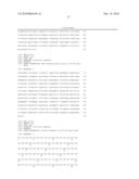 High affinity telomerase t cell receptors diagram and image