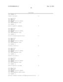 High affinity telomerase t cell receptors diagram and image