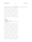 High affinity telomerase t cell receptors diagram and image