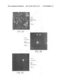 TRANSCRIPTION FACTORS FOR DIFFERENTIATION OF ADULT HUMAN OLFACTORY PROGENITOR CELLS diagram and image