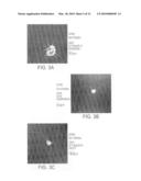 TRANSCRIPTION FACTORS FOR DIFFERENTIATION OF ADULT HUMAN OLFACTORY PROGENITOR CELLS diagram and image