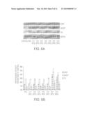 TRANSCRIPTION FACTORS FOR DIFFERENTIATION OF ADULT HUMAN OLFACTORY PROGENITOR CELLS diagram and image