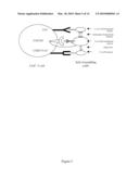 METHODS AND COMPOSITIONS FOR THE PRODUCTION OF MONOCLONAL ANTIBODIES diagram and image