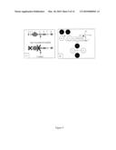 METHODS AND COMPOSITIONS FOR THE PRODUCTION OF MONOCLONAL ANTIBODIES diagram and image