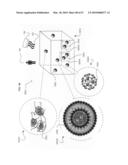 Ex vivo modifiable multiple medicament final dosage form diagram and image