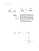 ANTIFREEZE GLYCOPROTEIN ANALOGUES AND USES THEREOF diagram and image