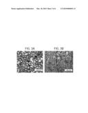 METHOD, REAGENT AND KIT FOR MALARIA TESTING diagram and image