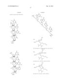 OLIGONUCLEOTIDES COMPRISING SIGNALLING PAIRS AND HYDROPHOBIC NUCLEOTIDES, STEMLESS BEACONS, FOR DETECTION OF NUCLEIC ACIDS, METHYLATION STATUS AND MUTANTS OF NUCLEIC ACIDS diagram and image