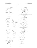 OLIGONUCLEOTIDES COMPRISING SIGNALLING PAIRS AND HYDROPHOBIC NUCLEOTIDES, STEMLESS BEACONS, FOR DETECTION OF NUCLEIC ACIDS, METHYLATION STATUS AND MUTANTS OF NUCLEIC ACIDS diagram and image
