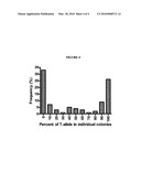 OLIGONUCLEOTIDES FOR USE IN ALLELE-SPECIFIC PCR diagram and image