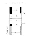 RAPID IMMUNOCHROMATOGRAPHIC DETECTION BY AMPLIFICATION OF THE COLLOIDAL GOLD SIGNAL diagram and image