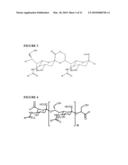 POLYSACCHARIDE DERIVATIVES AND USES IN INDUCTION OF AN IMMUNE RESPONSE diagram and image