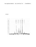 POLYSACCHARIDE DERIVATIVES AND USES IN INDUCTION OF AN IMMUNE RESPONSE diagram and image