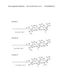 POLYSACCHARIDE DERIVATIVES AND USES IN INDUCTION OF AN IMMUNE RESPONSE diagram and image