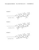 POLYSACCHARIDE DERIVATIVES AND USES IN INDUCTION OF AN IMMUNE RESPONSE diagram and image