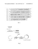 PROTEINS WITH ESTERASE ACTIVITY diagram and image