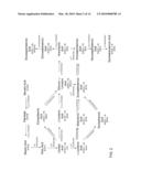 AMMONIUM TRANSPORTER PROMOTERS FOR GENE EXPRESSION IN OLEAGINOUS YEAST diagram and image