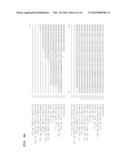 AMMONIUM TRANSPORTER PROMOTERS FOR GENE EXPRESSION IN OLEAGINOUS YEAST diagram and image