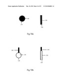 METHOD FOR DETECTION AND ANALYSIS OF AROMATIC HYDROCARBONS FROM WATER diagram and image