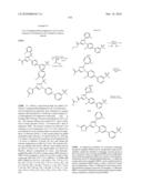 LXR and FXR Modulators diagram and image