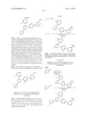 LXR and FXR Modulators diagram and image