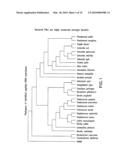 HETEROCYCLIC INHIBITORS OF BACTERIAL PEPTIDYL TRNA HYDROLASE AND USES THEREOF diagram and image