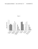 ISOFLAVONE DERIVATIVES AND USES THEREOF diagram and image