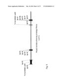 Antibody producing non-human mammals diagram and image