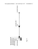 Antibody producing non-human mammals diagram and image