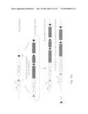 Antibody producing non-human mammals diagram and image