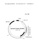 Antibody producing non-human mammals diagram and image